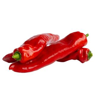 Spitzpaprika rot / bunt