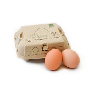 Eiland 6er-Pack Eier - L