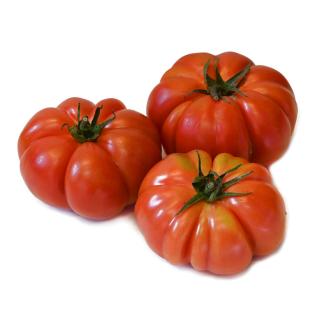 Fleischtomate