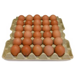 Eier L - 30er Palette